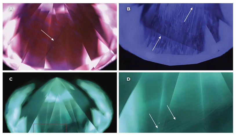 499b7e91b0e9d05a1d12cacaffcbaece_1765261840_52.jpg 499b7e91b0e9d05a1d12cacaffcbaece_1765261840_52.jpg